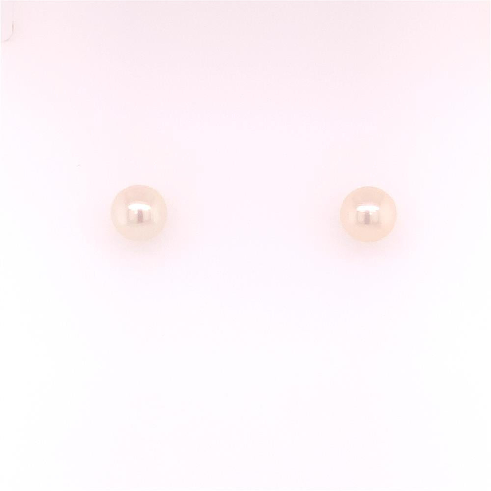 A pair of Mastoloni Pearls 6-6.5MM EAR "A" 14KT WG stud earrings displayed against a plain white background. Each earring, set in 14KT white gold, features a single 6-6.5MM round white pearl.